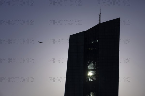 The sun passes behind the European Central Bank (ECB) in Frankfurt am Main, Frankfurt am Main, Hesse, Germany