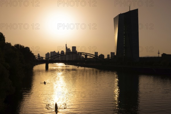 The sun is high above the European Central Bank (ECB) and the Frankfurt banking skyline, Frankfurt am Main, Hesse, Germany