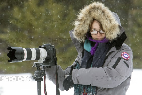 Photographer Veronique Amiard photographs the forest landscape in winter, light snowfall, Gaspesie national park, Province of Quebec, Canada, North America