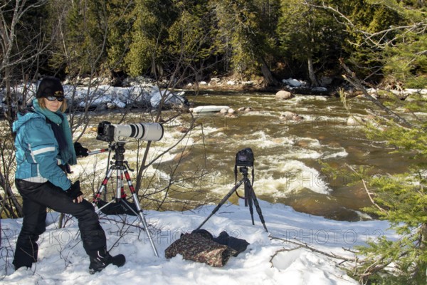Photographer Veronique Amiard photographs birds along the white waters of the Ste Anne river, Gaspesie national park, Province of Quebec, Canada, North America
