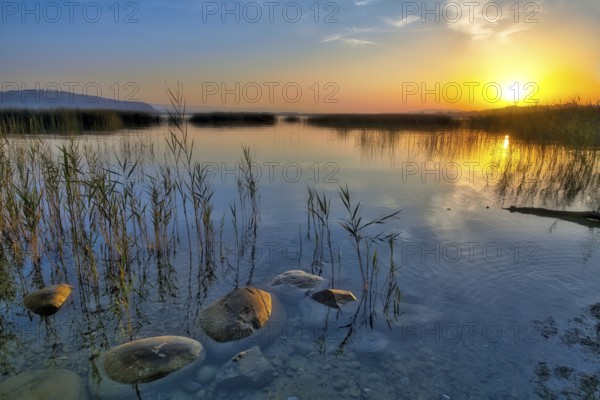 Atmospheric sunrise on Lake Murten, reed belt and stones in the water, Canton of Fribourg, Switzerland