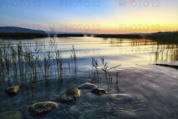 Gentle waves lapping reeds and stones on Lake Murten, atmospheric dawn, Canton of Fribourg, Switzerland