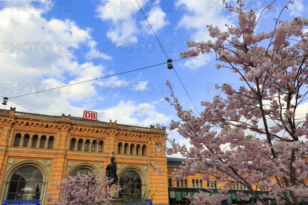 Hanover Central Station, Cherry Blossom, Cumulus, Hanover, Lower Saxony, Germany