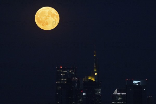 The full moon passes over the Frankfurt banking skyline, Frankfurt am Main, Hesse, Germany