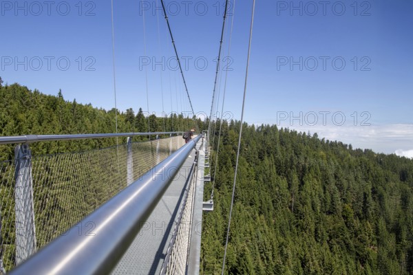 Wildline Bad Wildbad: The pedestrian suspension bridge is 380 metres long and 60 metres high. It was opened as a tourist attraction in 2018