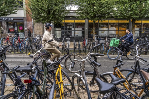 Ride your bike in the city centre of Groningen, old town, designated areas where bikes may be parked, bikes parked outside will be removed, Netherlands