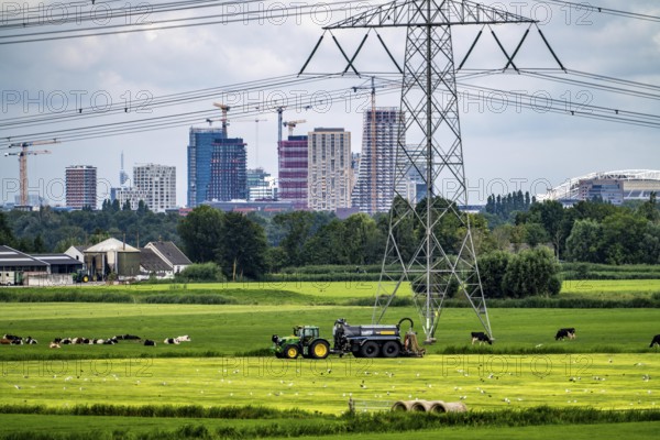 The skyline of the business district in the south-east of Amsterdam, office tower blocks, green landscape in front, cattle pasture, agriculture, high-voltage power line, seen from the Amsterdam-Rijn canal, near Nigtevecht, Netherlands