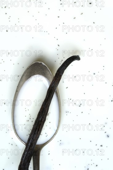 Spoon with vanilla pod, vanilla seeds in milk
