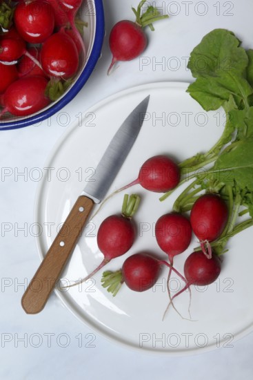 Radish with knife on plate, Raphanus sativus var. sativus