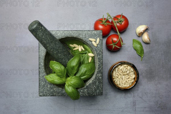 Ingredients for basil pesto, pesto alla genovese