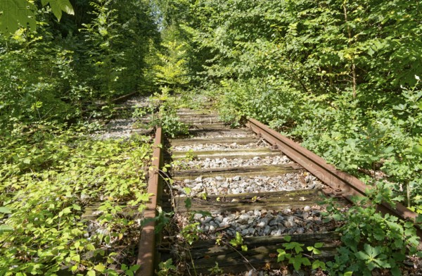 Rusty, overgrown tracks at the former Blumendorf railway station. Bad Oldesloe, Schleswig-Holstein, Germany