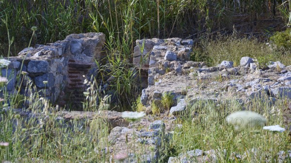 Remains of an ancient wall surrounded by plants in a historical site, ancient Roman bath, Tallaras, Analipsi, Maltezana, Astypalea, Astipalea, Astipaleia, Dodecanese, Greek Islands, Greece