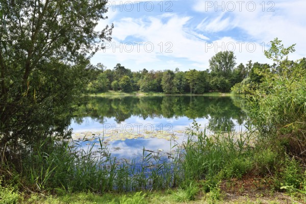 Scenic view of Waldsee forest lake in Viernheim, Germany on a sunny day surrounded by nature