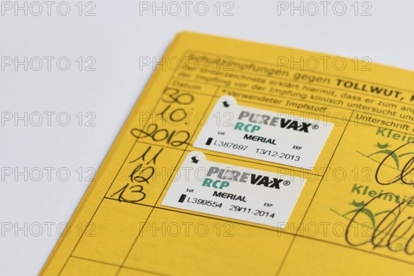 Germany - August 2nd 2025: Close up of PureVay RCP Merial vaccine sticker in cat passport. Veterinary vaccination record detail