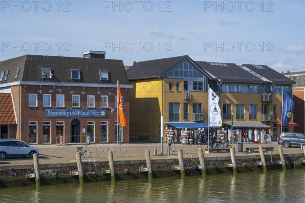 National Park House and other buildings at the harbour, Husum, North Frisia, North Sea, Schleswig-Holstein, Germany