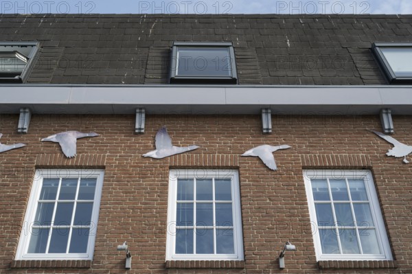 National Park House, harbour, Husum, North Frisia, North Sea, Schleswig-Holstein, Germany