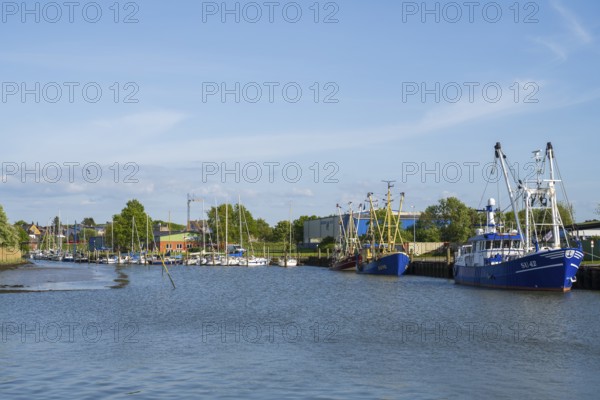 Fishing boats in the cutter harbour, outer harbour, Husum, North Frisia, North Sea, Schleswig-Holstein, Germany