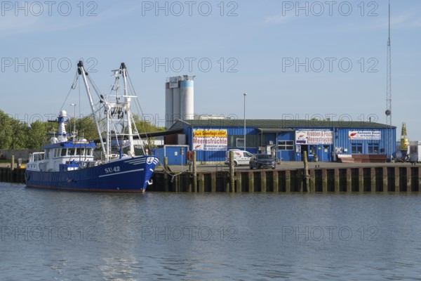 Fishing boats in the cutter harbour, fish market, outer harbour, Husum, North Frisia, North Sea, Schleswig-Holstein, Germany