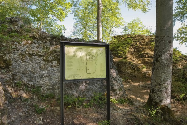 Ruin Alter Lichtenstein near Lichtenstein Castle, information board, site plan of the ruin, layout, eaves of the Swabian Alb, trees, deciduous forest, Honau, municipality of Lichtenstein, Baden-Württemberg, Germany