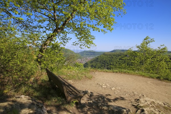 Ruin Alter Lichtenstein near Lichtenstein Castle, wooden bench, viewpoint, view into the Echatztal valley, eaves of the Swabian Alb, trees, deciduous forest, Honau, municipality of Lichtenstein, Baden-Württemberg, Germany
