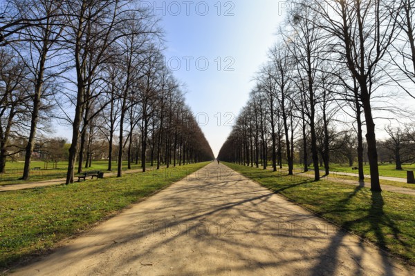 Walkers in the lime tree avenue, beginning scilla blossom, sunny weather, Hanover, Germany