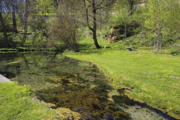 Lauter spring, Große Lauter, karst spring, body of water, park, idyll, meadow, lawn, trees, Offenhausen, municipality of Gomadingen, Swabian Alb, Baden-Württemberg, Germany