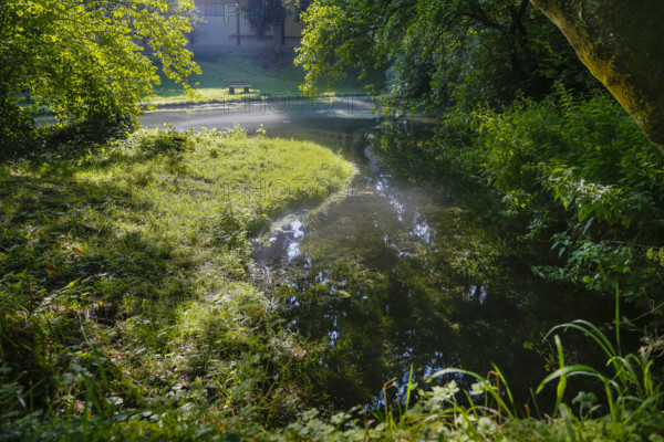 Lauter spring, Große Lauter, karst spring pot, water, park, idyll, meadow, lawn trees, backlight, Offenhausen, municipality of Gomadingen, Swabian Alb, Baden-Württemberg, Germany