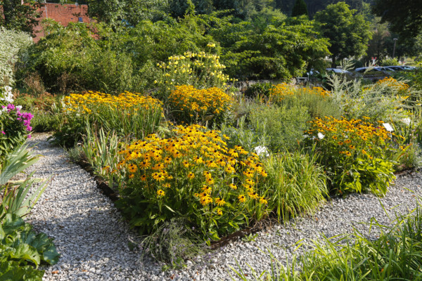 Herb garden near the stud farm museum and the Lauterquelle spring, various plants, perennials, Offenhausen, municipality of Gomadingen, Swabian Alb, Baden-Württemberg, Germany