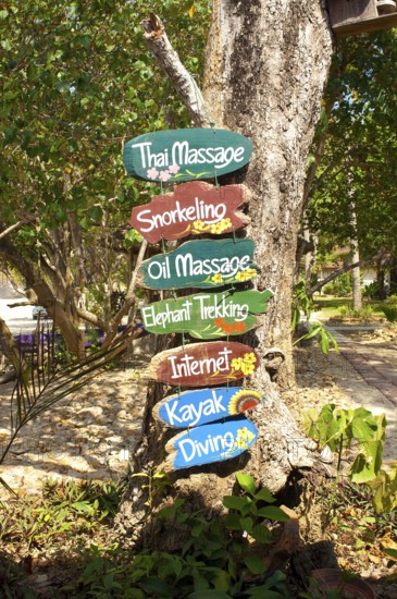 Tree-mounted information for tourists Holidaymakers on colourful signposts Wooden signs for offers in English of Thai massage, oil massage, snorkelling, elephant riding, internet, kayaking, diving, Koh Lanta, Thailand