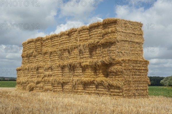 Pile of rectangular straw bales at Ystad, Skåne county, Sweden, Scandinavia