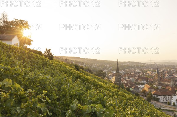 Sunrise over the vineyards of Esslingen am Neckar