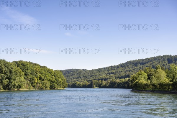 View over the Rhine, High Rhine surrounded by forests, Canton Thurgau, Switzerland