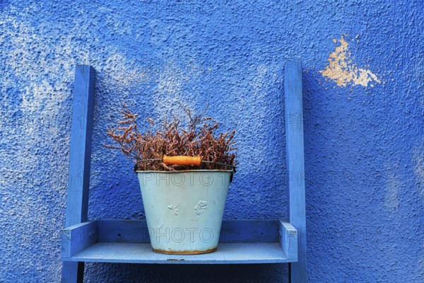 Typical blue façade detail, flower pot, bucket on wooden shelf, peeling paint, Burano, Italy