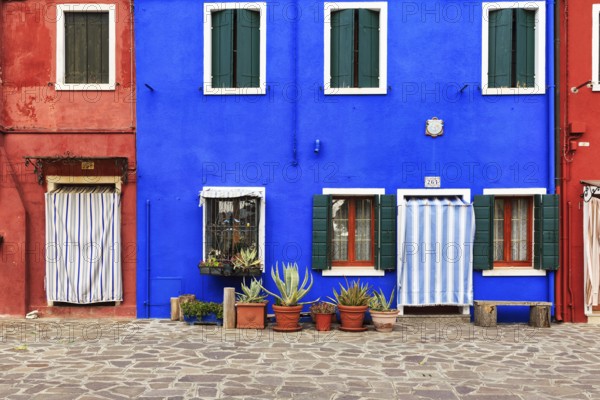 Façade detail, red and blue, various flower pots, Burano, island in the lagoon of Venice, Italy