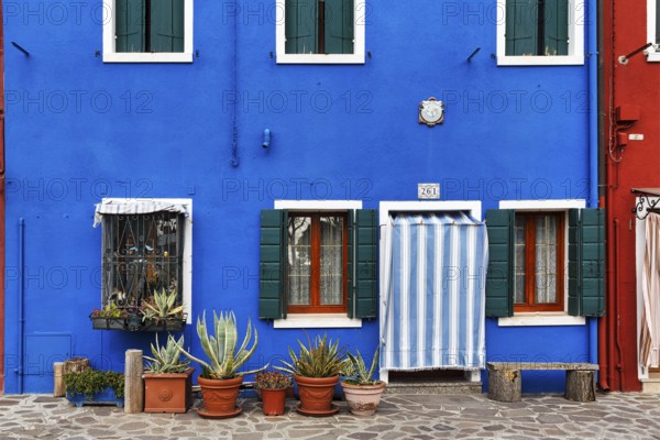 Blue façade detail, various flower pots, Burano, island in the lagoon of Venice, Italy