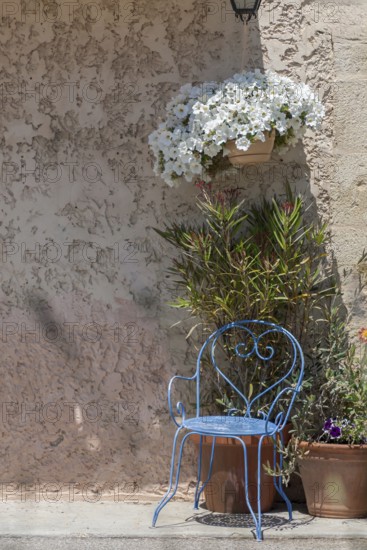 A blue metal chair stands next to potted plants in front of a sand-coloured wall with Mediterranean-style flowers, Aurel, Département Vaucluse, Region Provence-Alpes-Côte d'Azur, South of France, France