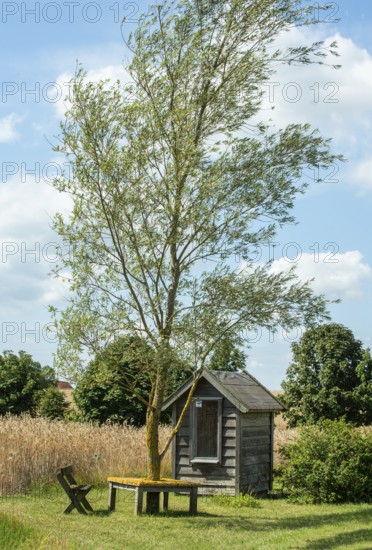Small cottage at the bus stop at Baldringe, Ystad municipality, Skåne county, Sweden, Scandinavia