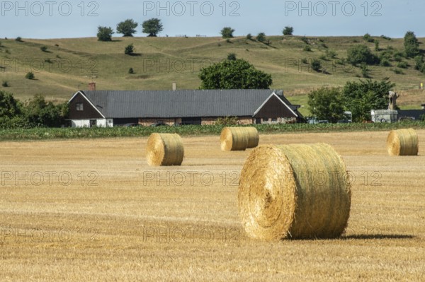 Round straw bales in a field in Hammar, Ystad Municipality, Skåne County, Sweden, Scandinavia