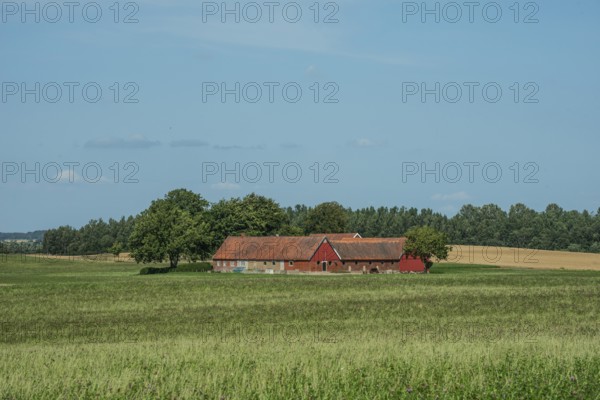 Older farmhouse in landscape behind fields of crops at Ystad, Skåne County, Sweden, Scandinavia