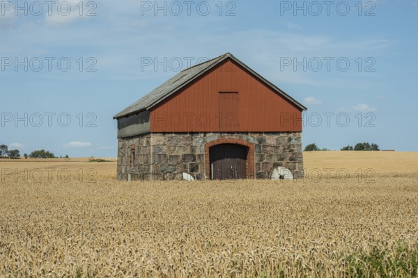 Former windmill converted into a warehouse surrounded by wheat fields at Ystad, Skåne County, Sweden, Scandinavia