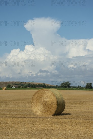 Round straw bale in a field and under summer clouds in Hammar, Ystad municipality, Skåne county, Sweden, Scandinavia