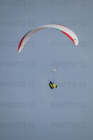 A paraglider or paraglider in front of a blue sky, near Hvide Sande, North Sea, Denmark