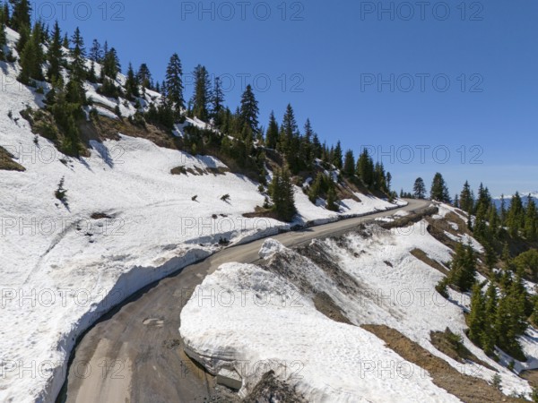 Snowy mountain road with serpentines and fir trees under a clear blue sky, aerial view, near Goderdzi Pass, Adjara region, Adjara, autonomous republic, Georgia