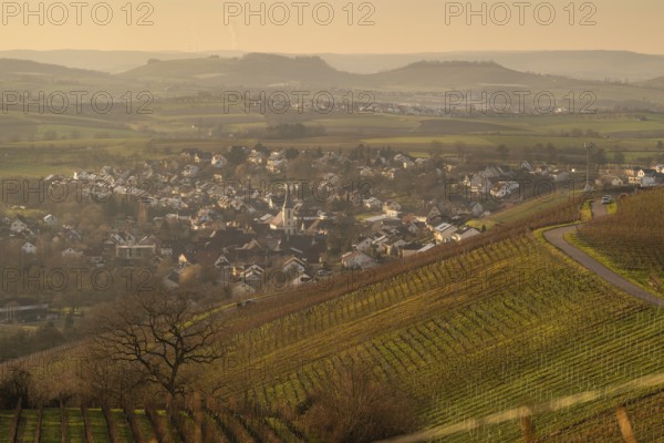 Vineyards and the village of Michelbach in autumn, Hohenlohe, Baden-Württemberg, Germany