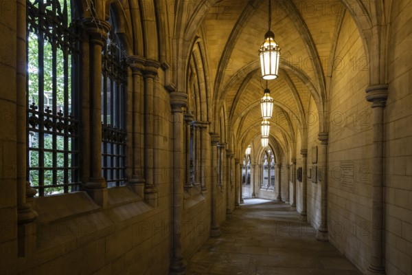 Illuminated neo-Gothic archway, St Mary Abbot Church, Kensington, London, England, Great Britain