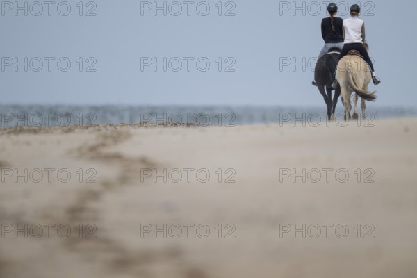 Two riders on the beach, near Hvide Sande, North Sea, Denmark