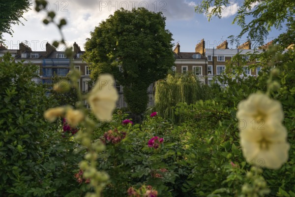 Flowers and trees against an urban backdrop, St James's Garden, Kensington, London, England, Great Britain
