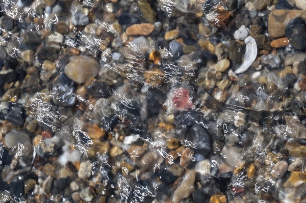 Colourful, smooth pebbles under a clear water surface, North Sea, Denmark