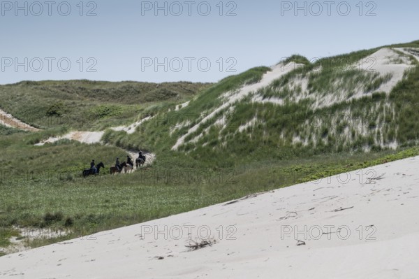 Grassy dunes and path with riders on horses in a wide dune landscape, Ringkøbing Fjord, North Sea, Denmark