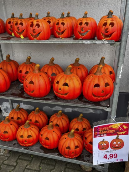 Mülheim, North Rhine-Westphalia, Germany - Decorative pumpkins for Halloween on 31 October were already on sale in a shop at the beginning of August